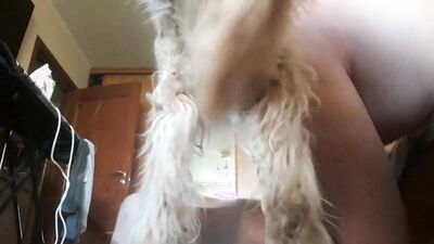 Bestiality porno: dog humping girl camshow