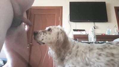 Bestiality porno: dog humping girl camshow