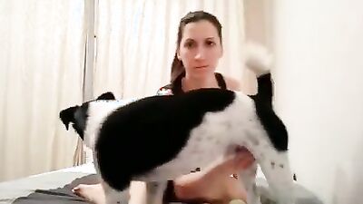 Dog gay porn: telegram dog girl