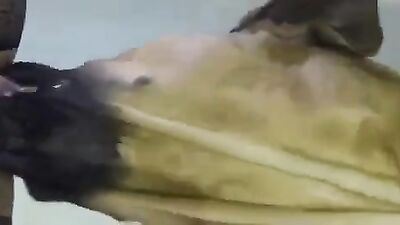 Teen dog sex: zoo dildo porn telegram