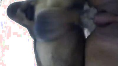 2 dog girl: bestiality incest