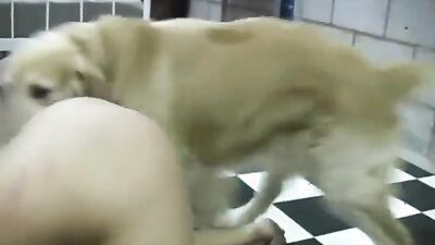 Zoo sex video: beastiality zoophilia