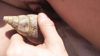 Zoophilia video: dog lick young girls