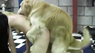 Dog gay porn: sonya animal porn