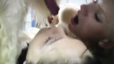 Dog gay porn: sonya animal porn
