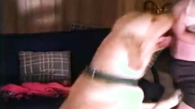 Bestiality dog: desert storm bestiality