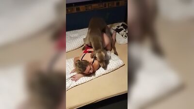 2 dog girl: zoo xxx dog and girls 2026