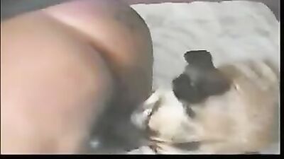 Animal sex: foxyrut bestiality
