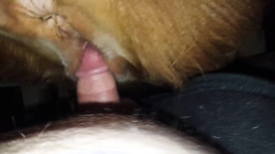 Bestiality hentai: fap zoo porn