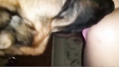 Bestiality zoo: horse porn sex bestiality