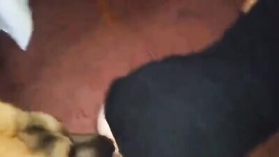 Animal crossing porn: zoo anime 3d porn