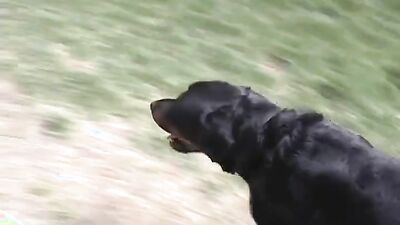Dog teen girls: men fucked dog sex
