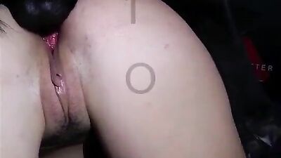 Zoo porno video: art of zoo video hd