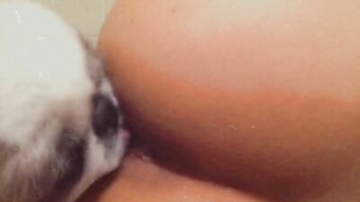 Porn comics bestiality: zoo trash porn