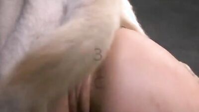 Zoo porn 2026: bestiality zoo 3d