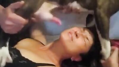 Art of zoo porno: dogs porn 18
