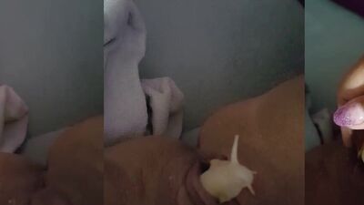 3d bestiality: www zoophilia tv 3d porno