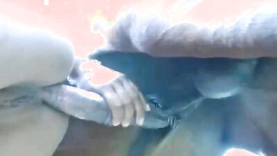 Dog lick girl: bestiality dog sex video