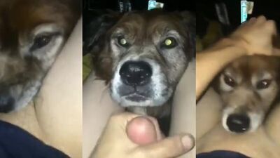Dog girl: zoo best porn sites