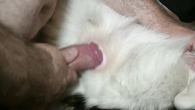 Animal porn: small deti animal porno dog video