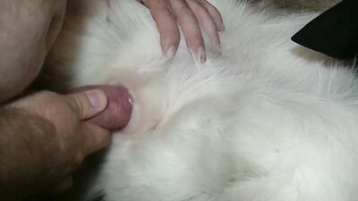 Animal porn: small deti animal porno dog video