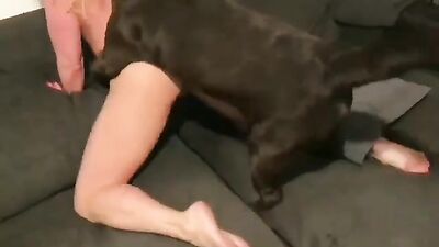 Zoophilia: porno zoo video russia
