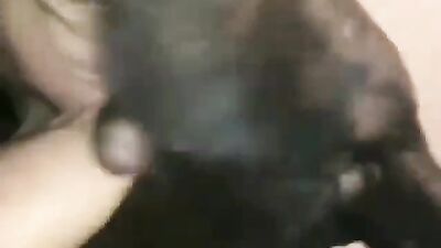 Zoophilia: porno zoo video russia