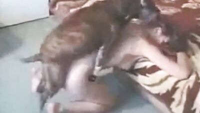 Animal porn: extreme animal porn