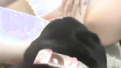 Zoophilia porn: animal porn me