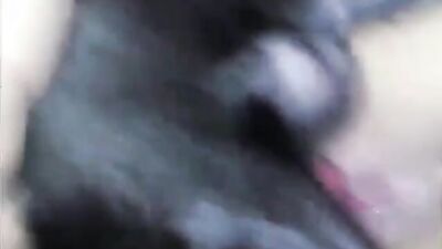 Zoophilia porn: animal porn me