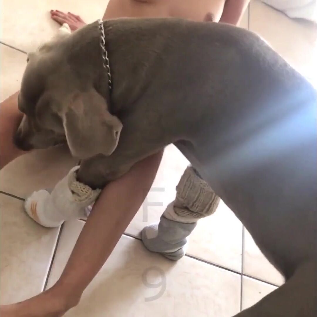 Animal porn: bestiality teen online