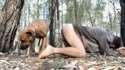Zoo fucking porn: granny zoo sex