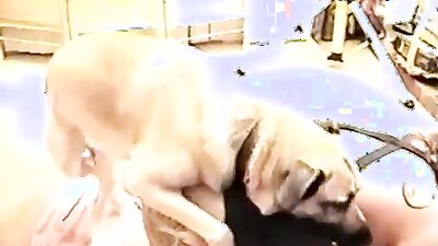 Porn comics bestiality: 3d sex dogs movies