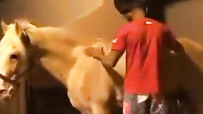 Bestiality sex id: woman sex with animals new forums