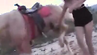 Bestiality sex id: woman sex with animals new forums