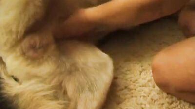 Zoo porn video: girls e dog sexo