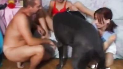 Dog girl 1: indian girls real dog sex videos