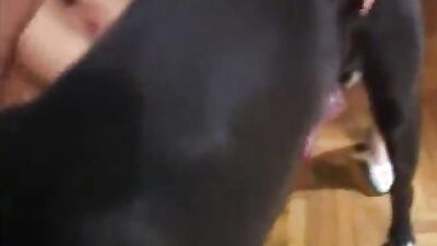 Dog girl 1: indian girls real dog sex videos