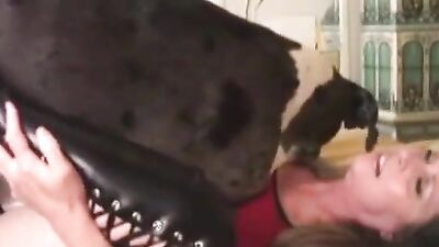 Zoophilia porn: zooporn girl and dog