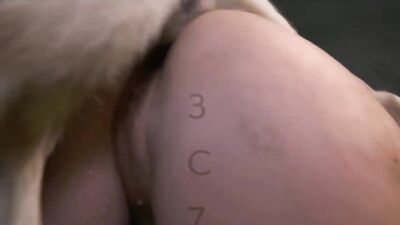 Zoo porn 2026: sonya letal nurse dog porn