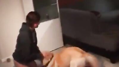 Dog sex: porn sam played with dog