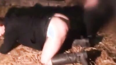 Dog sex: porn sam played with dog