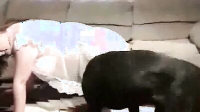3d dog sex: zooschool bestiality art