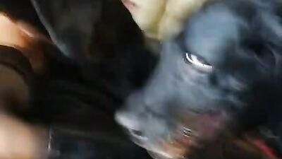 Zoophilia: zoophilia dog men