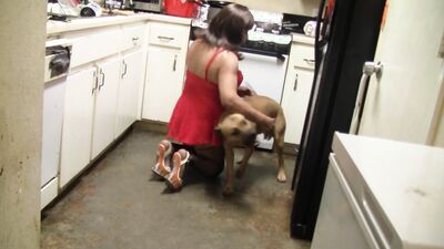 Bestiality sex: mimi dog girl rule 34