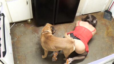 Bestiality sex: mimi dog girl rule 34