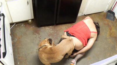 Bestiality sex: mimi dog girl rule 34