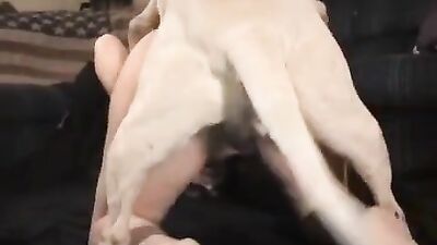 Russian zoo porn: hentai bestiality rules 34