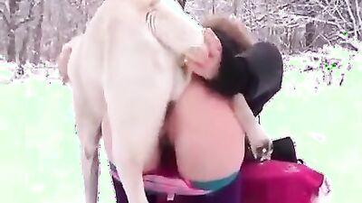 Animal sex: hq dog sex porn