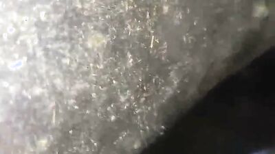 Fucking dogging porn: me sex dog